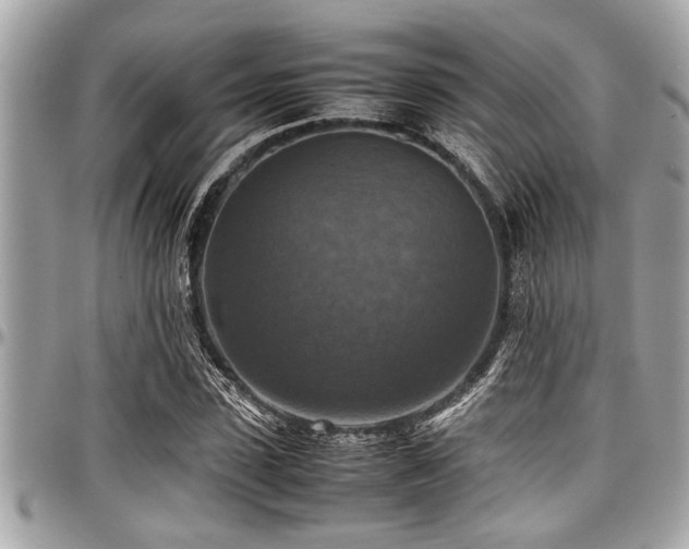 X0000098000923200803241338