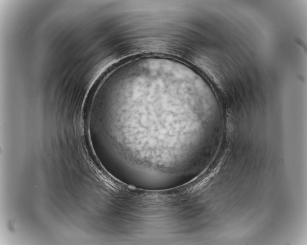 X0000098000924200803241338