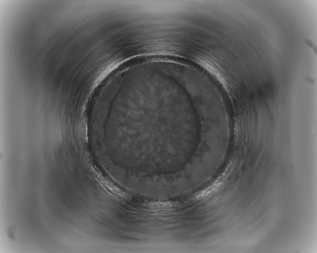 X0000098000925200803241338