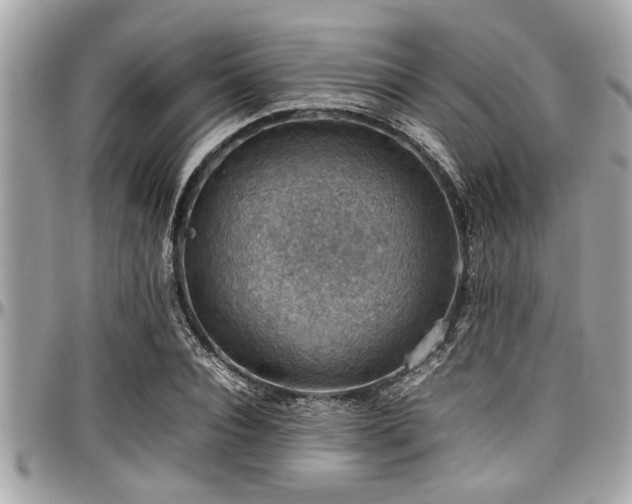 X0000098000928200803241339