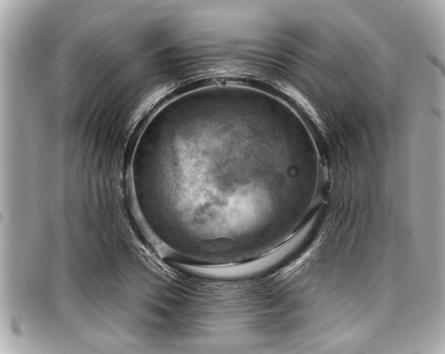 X0000098000930200803241339