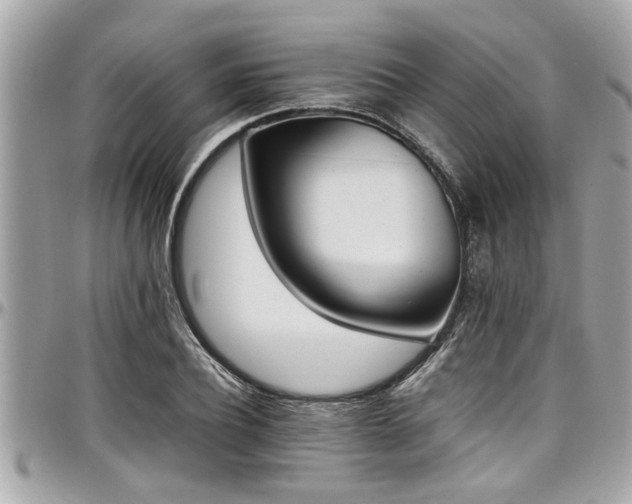 X0000098000932200803241339