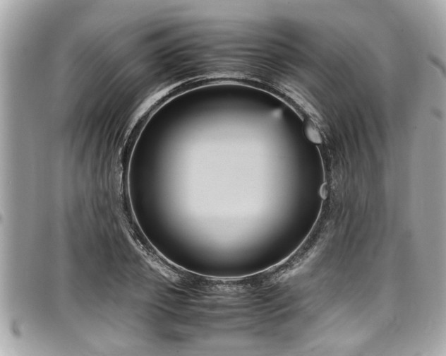 X0000098000933200803241339