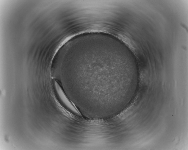 X0000098000934200803241339