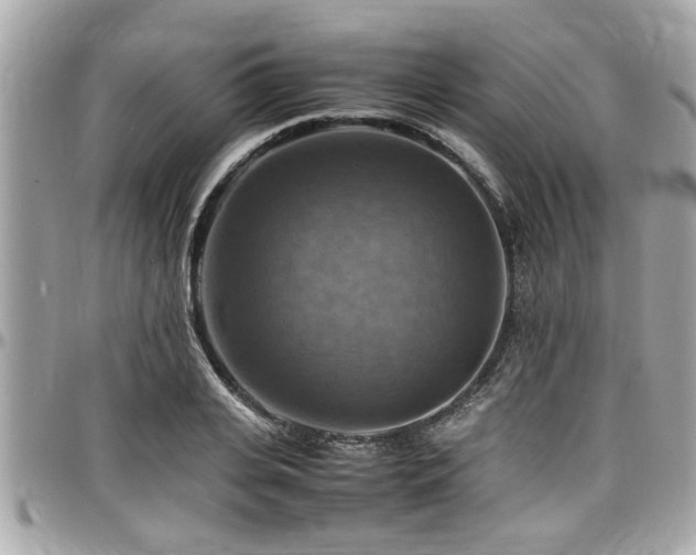 X0000098000935200803241339