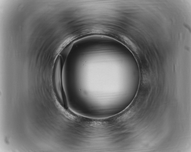 X0000098000938200803241339
