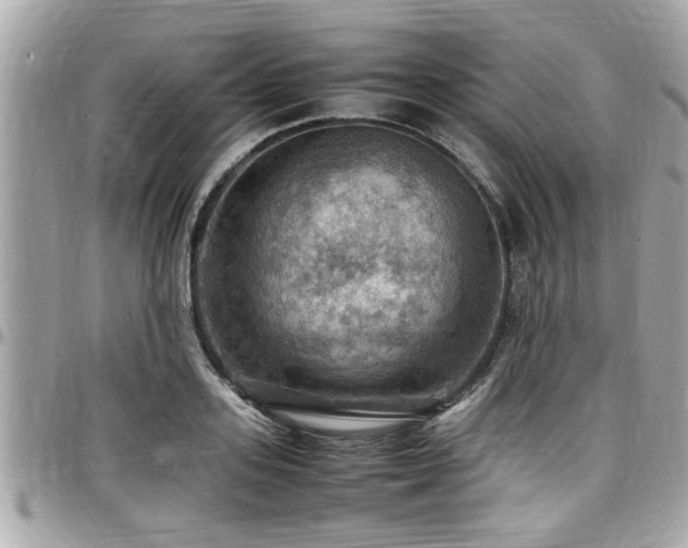 X0000098000939200803241339