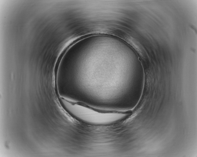 X0000098000940200803241339