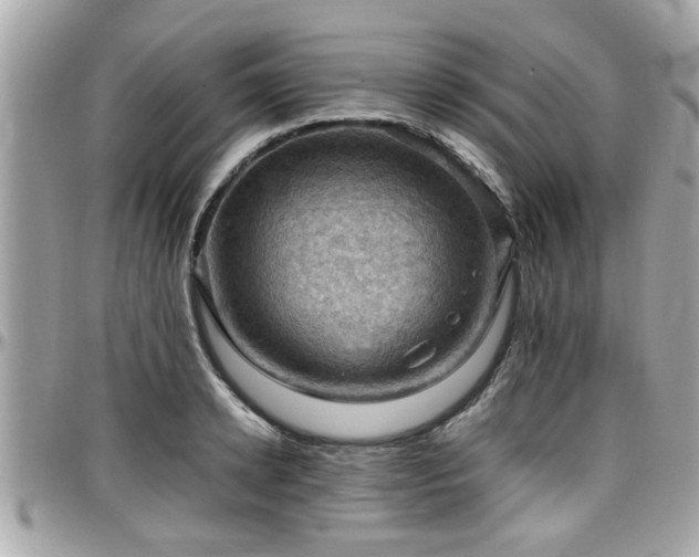 X0000098000942200803241339