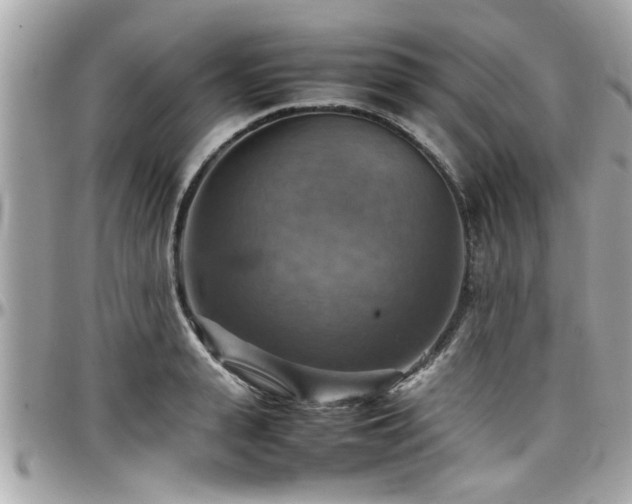 X0000098000943200803241339