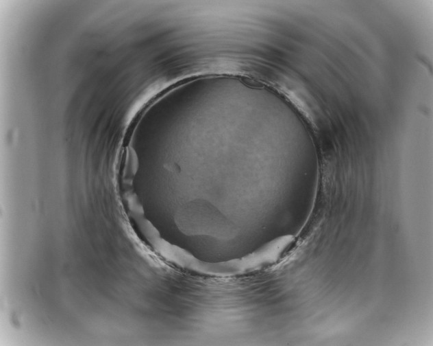 X0000098000944200803241339