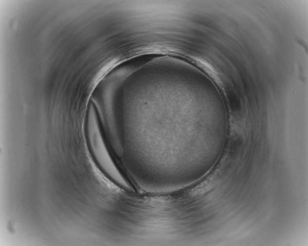 X0000098000946200803241339