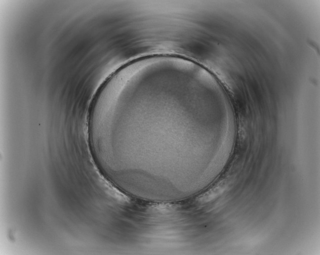 X0000098000950200803241339