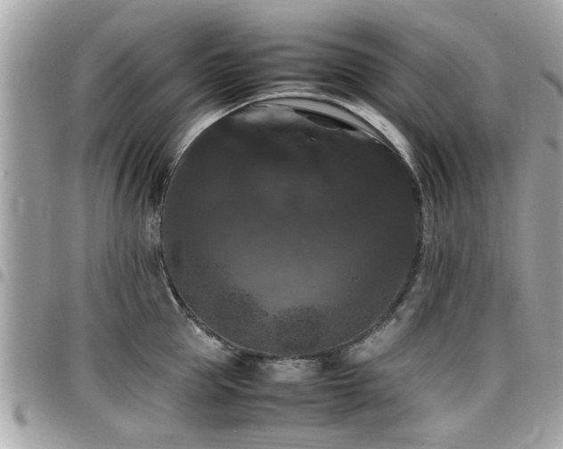 X0000098000953200803241339