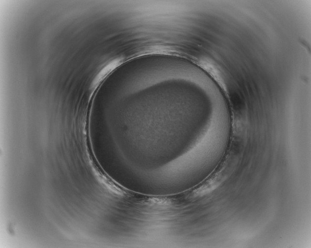 X0000098000954200803241339