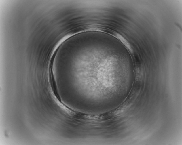 X0000098000955200803241339
