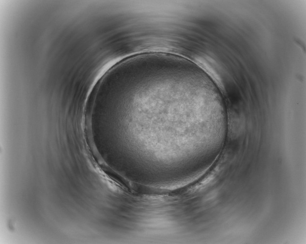 X0000098000956200803241339