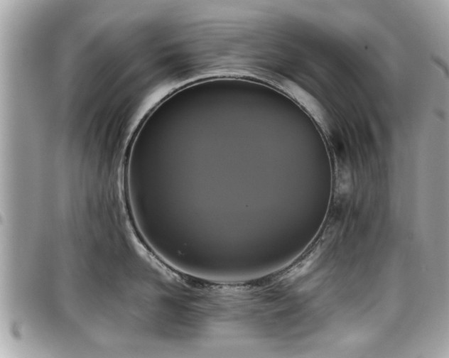 X0000098000958200803241339