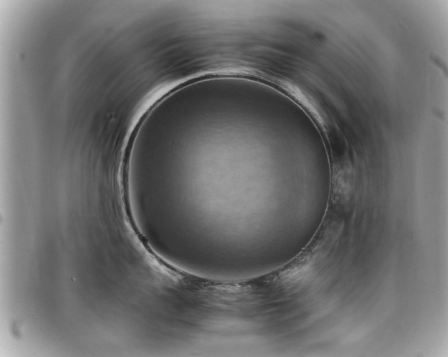 X0000098000959200803241339