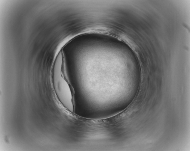 X0000098000960200803241339