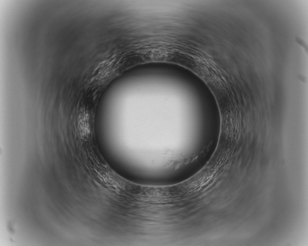 X0000098000962200803241338