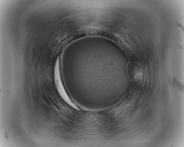 X0000098000964200803241338