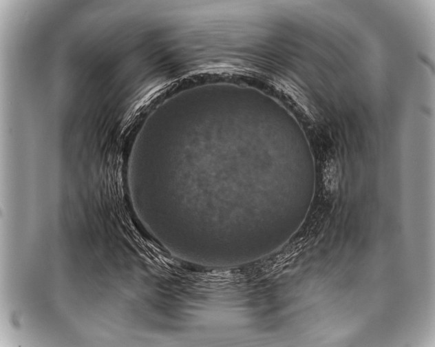 X0000098000968200803241338