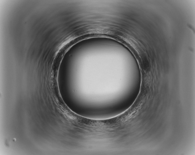 X0000098000971200803241338