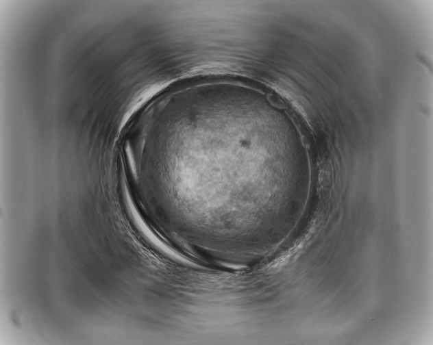 X0000098000973200803241338