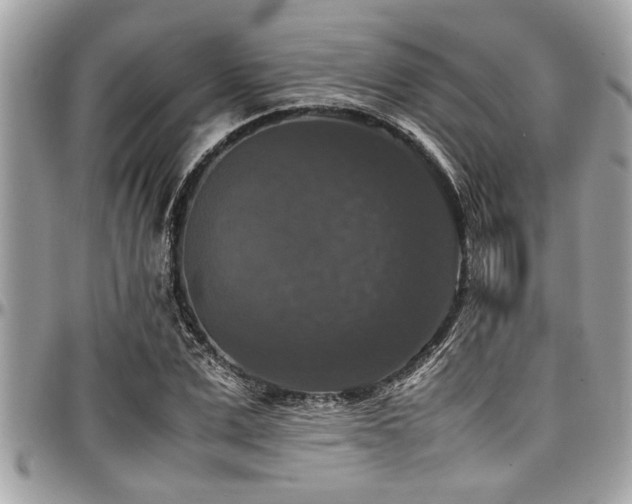 X0000098000975200803241338
