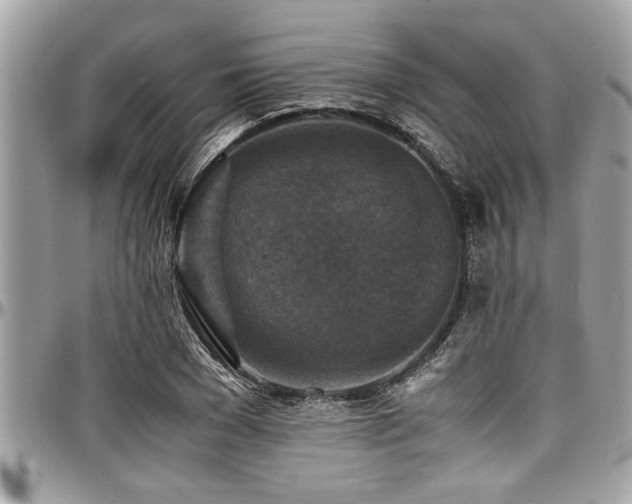 X0000098000977200803241338