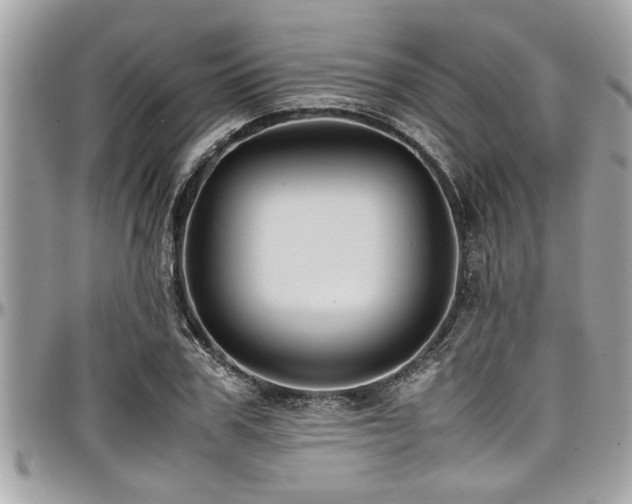X0000098000979200803241338