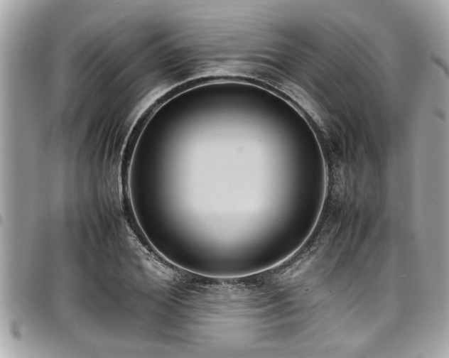 X0000098000980200803241338