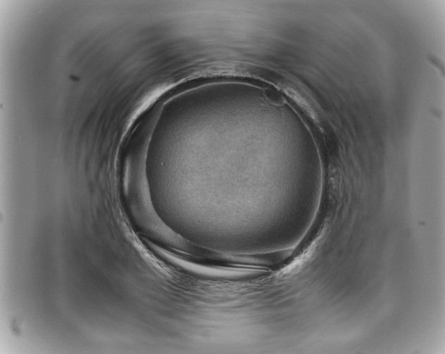 X0000098000981200803241338