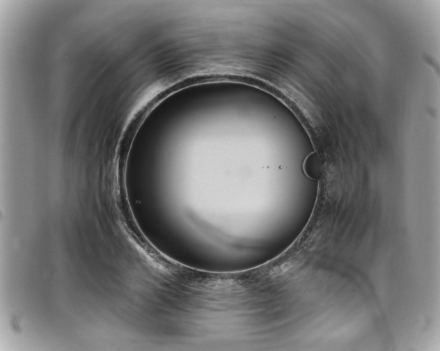 X0000098000982200803241338