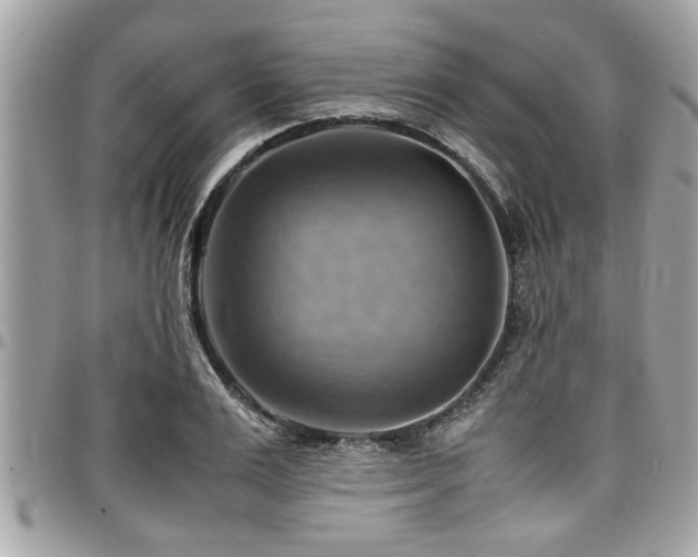 X0000098000983200803241338