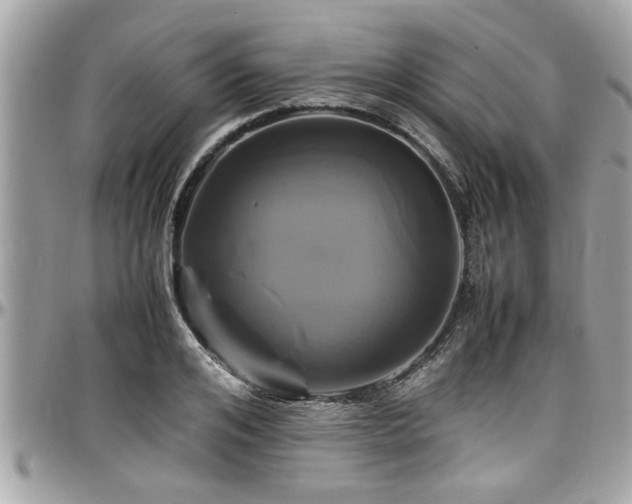 X0000098000984200803241338