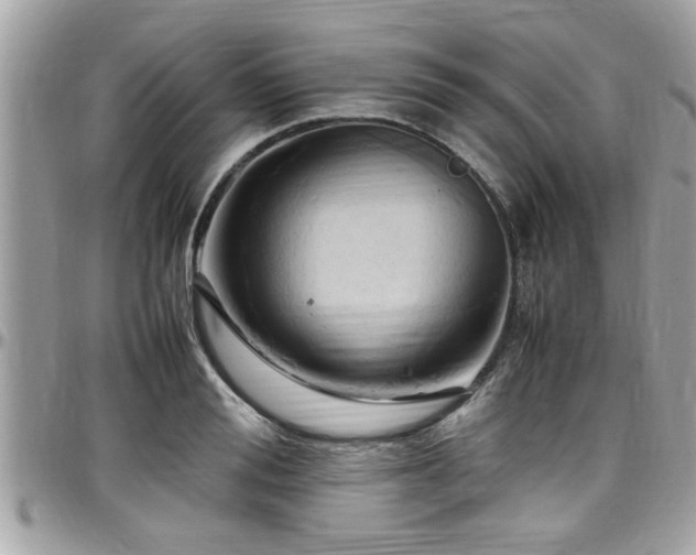 X0000098000988200803241338