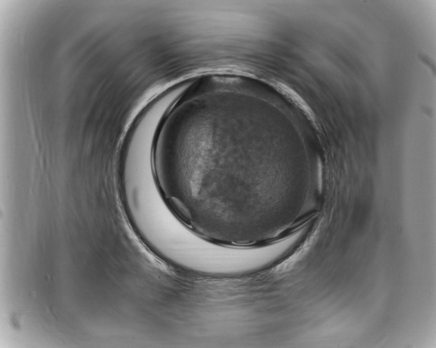 X0000098000989200803241338