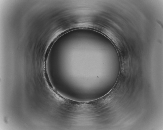 X0000098000992200803241338