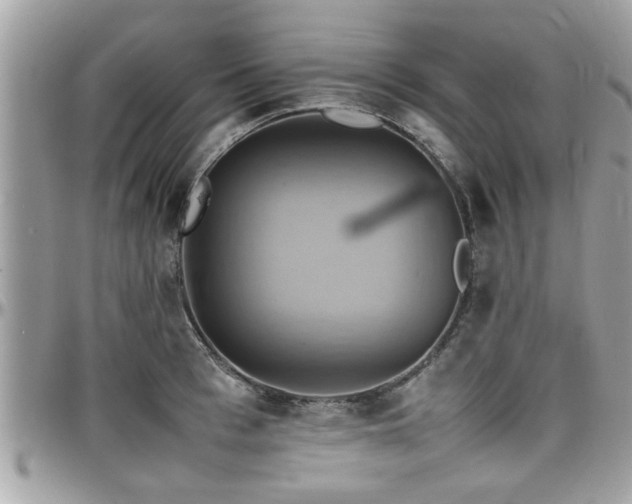 X0000098000993200803241338
