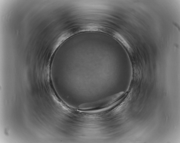 X0000098000994200803241338