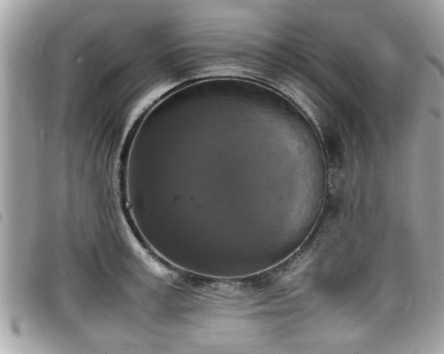 X0000098000995200803241338