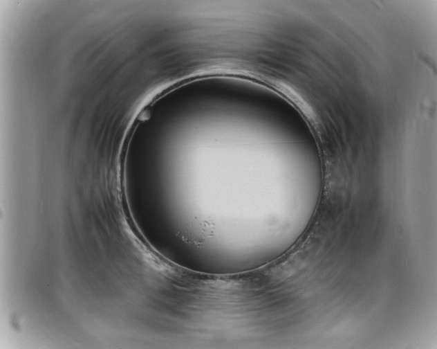 X0000098000996200803241338