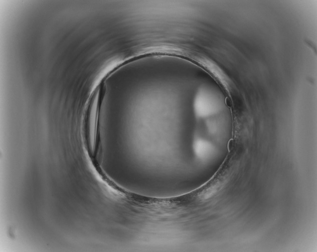 X0000098000999200803241338