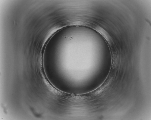 X0000098001000200803241338
