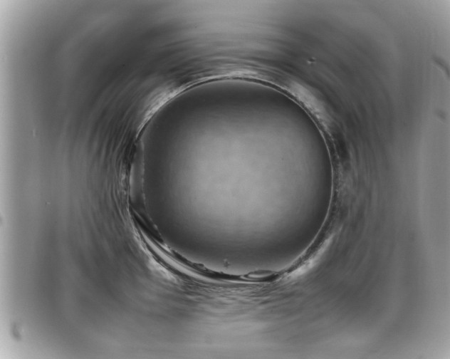 X0000098001001200803241338