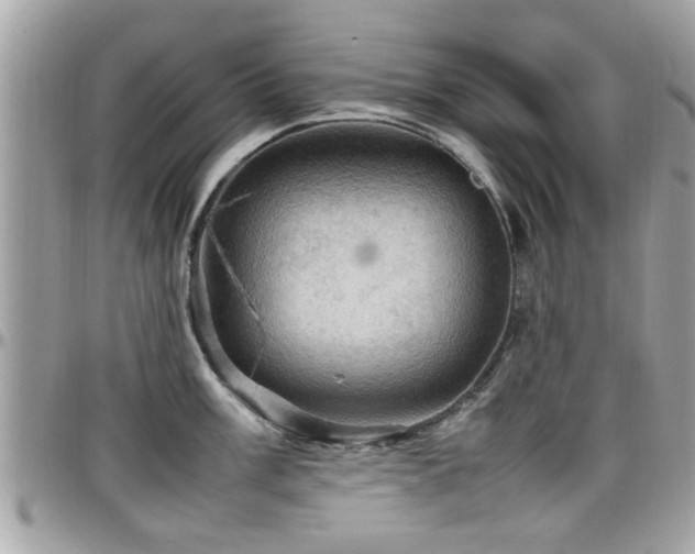 X0000098001003200803241338