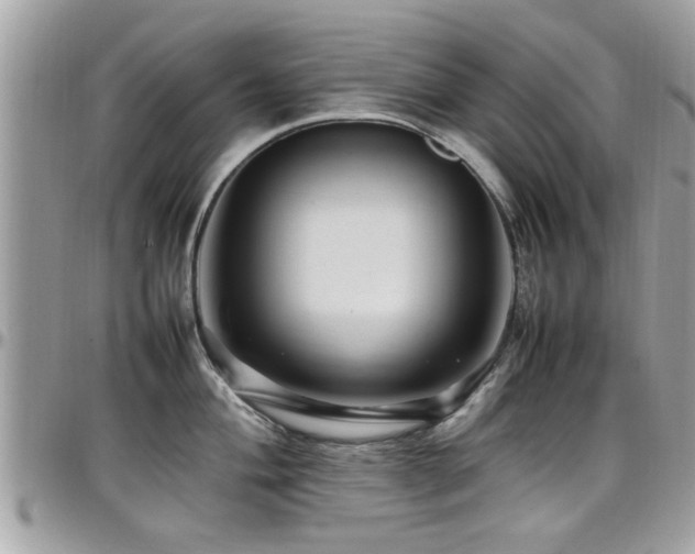 X0000098001004200803241338