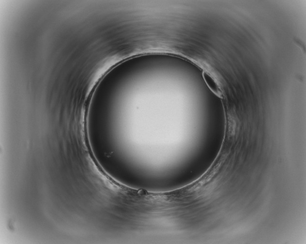 X0000098001006200803241338